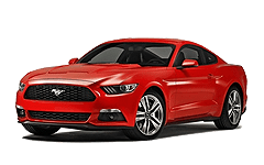 Mustang VI