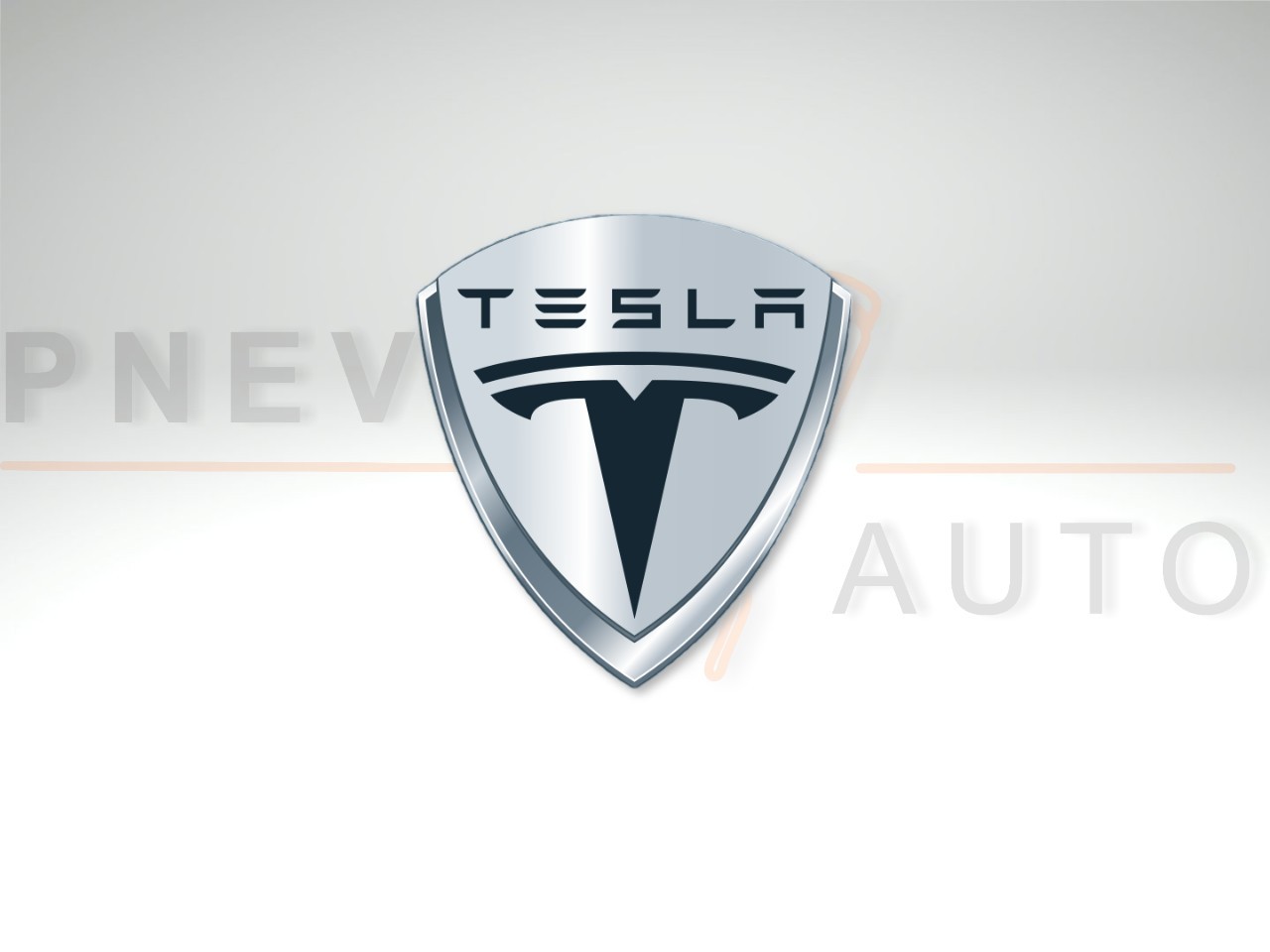 Амортизатор Tesla Model S (I) 2012-н.в. задний левый/правый